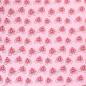 Preview: Baumwoll Jersey  Kutsche auf Rosa